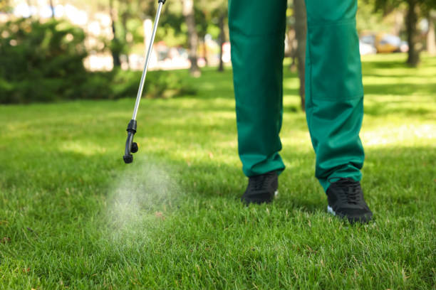 Best Local Pest Control Services  in Menlo Park, CA