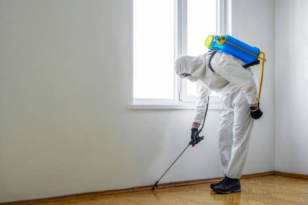Best Best Pest Control Companies  in Menlo Park, CA