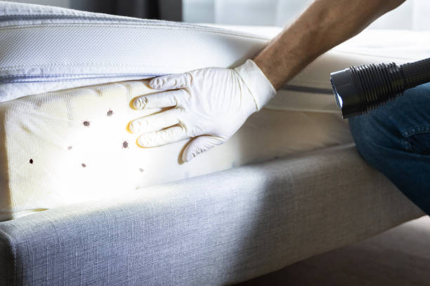 Best Affordable Pest Control Services  in Menlo Park, CA