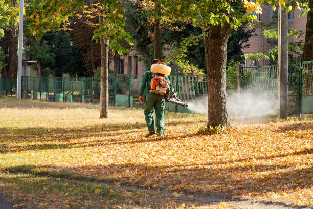 Wasp Removal Services in Menlo Park, CA