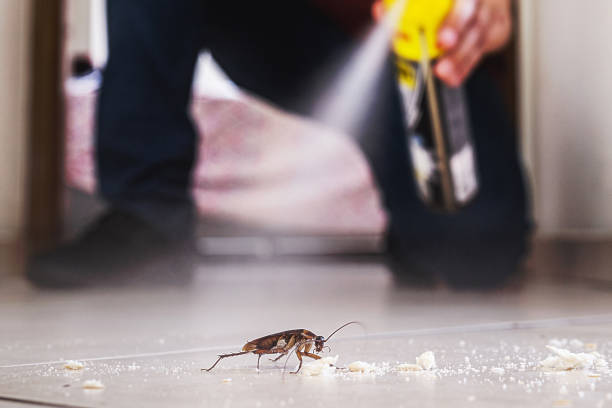 Best Pest Removal Services  in Menlo Park, CA