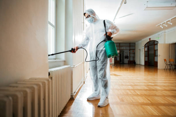 Best Pest Control Near Me  in Menlo Park, CA
